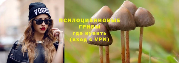 Альфа ПВП Белокуриха