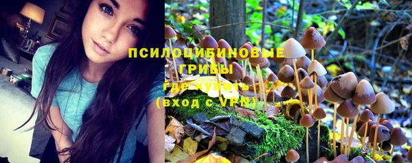 спиды Беломорск