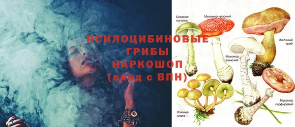 Альфа ПВП Белокуриха