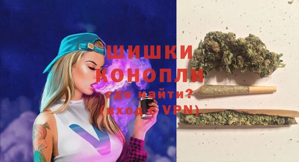 сатива Нягань