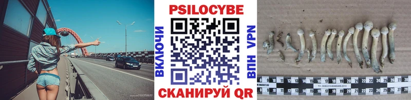 kraken рабочий сайт  Реж  Галлюциногенные грибы мицелий 